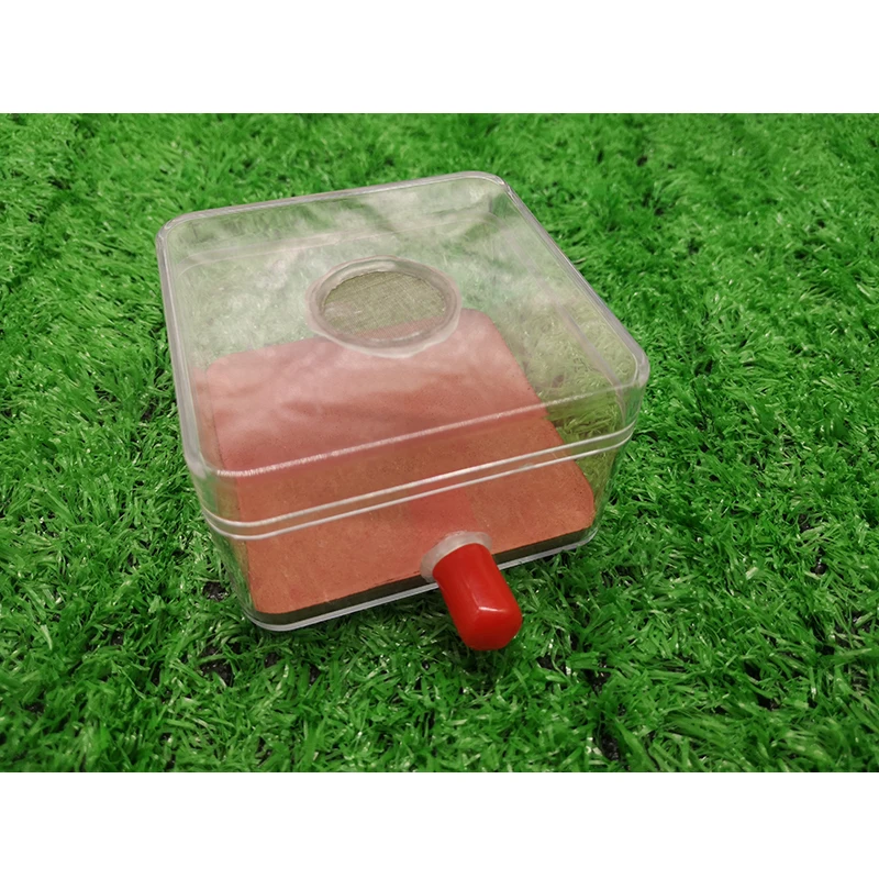 Área de actividad transparente de hormiga, se conecta con nido de hormiga, yeso acrílico, hormiga