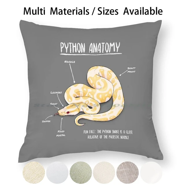 Ball Python Anatomy