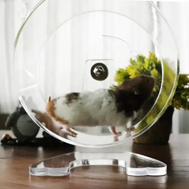 Acrylic Transparent Hamster Running Wheel Treadmill Wheel Running Wheel Running Wheel Pet Supplies 1