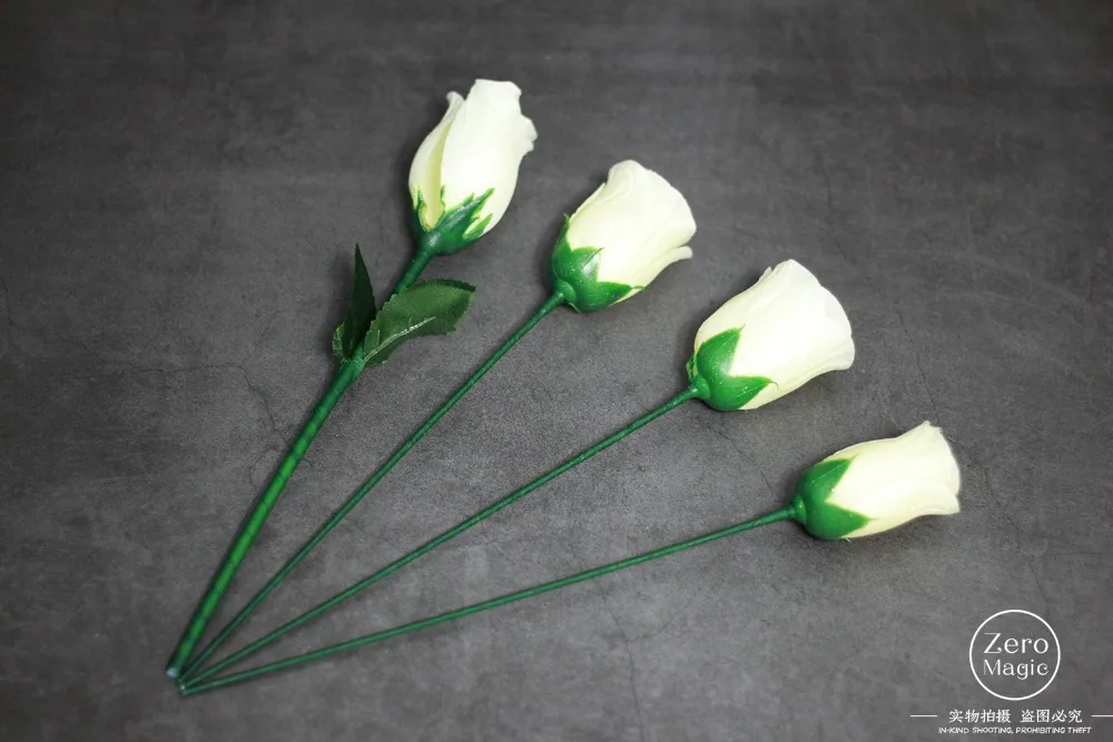 新玫瑰一变四 (1)