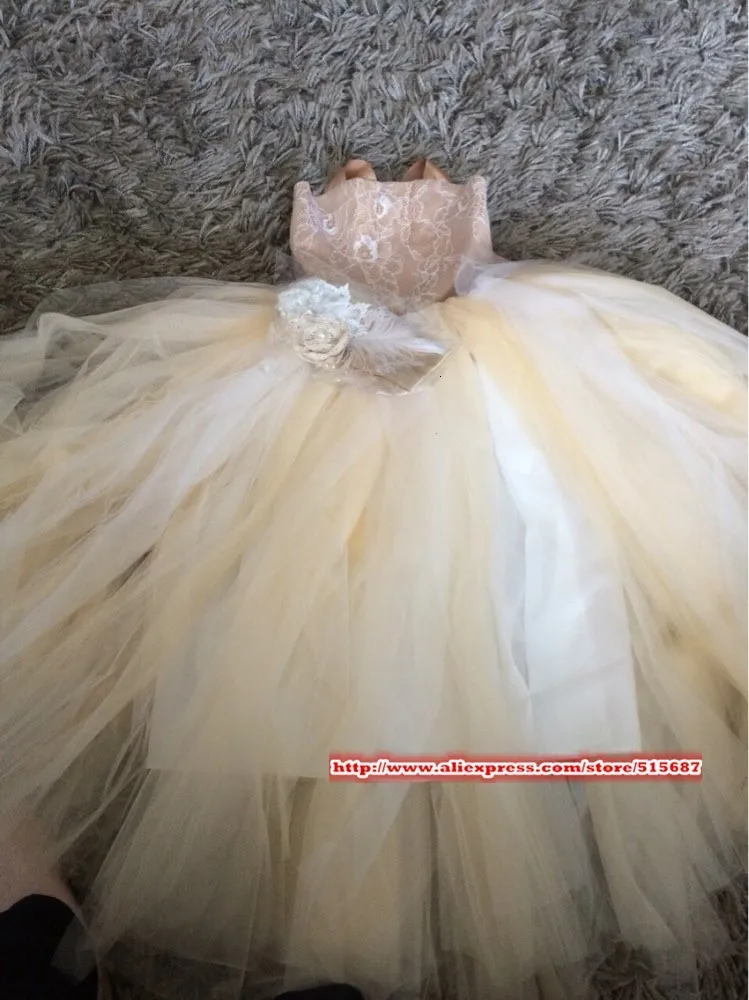 UT8vDGEXqFaXXagOFbXf