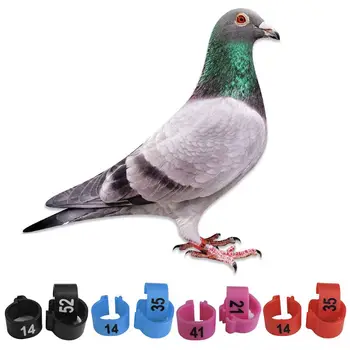 

100 Pcs Number Recognition Bird Foot Ring Species Identify Dove Bands Training 11UA