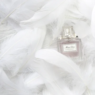 Goose feather L1 Перья индейки Марабу 100 шт пушистый Гусь свадебное платье DIY украшения декоративные принадлежности для рукоделия - Цвет: Goose feather L1