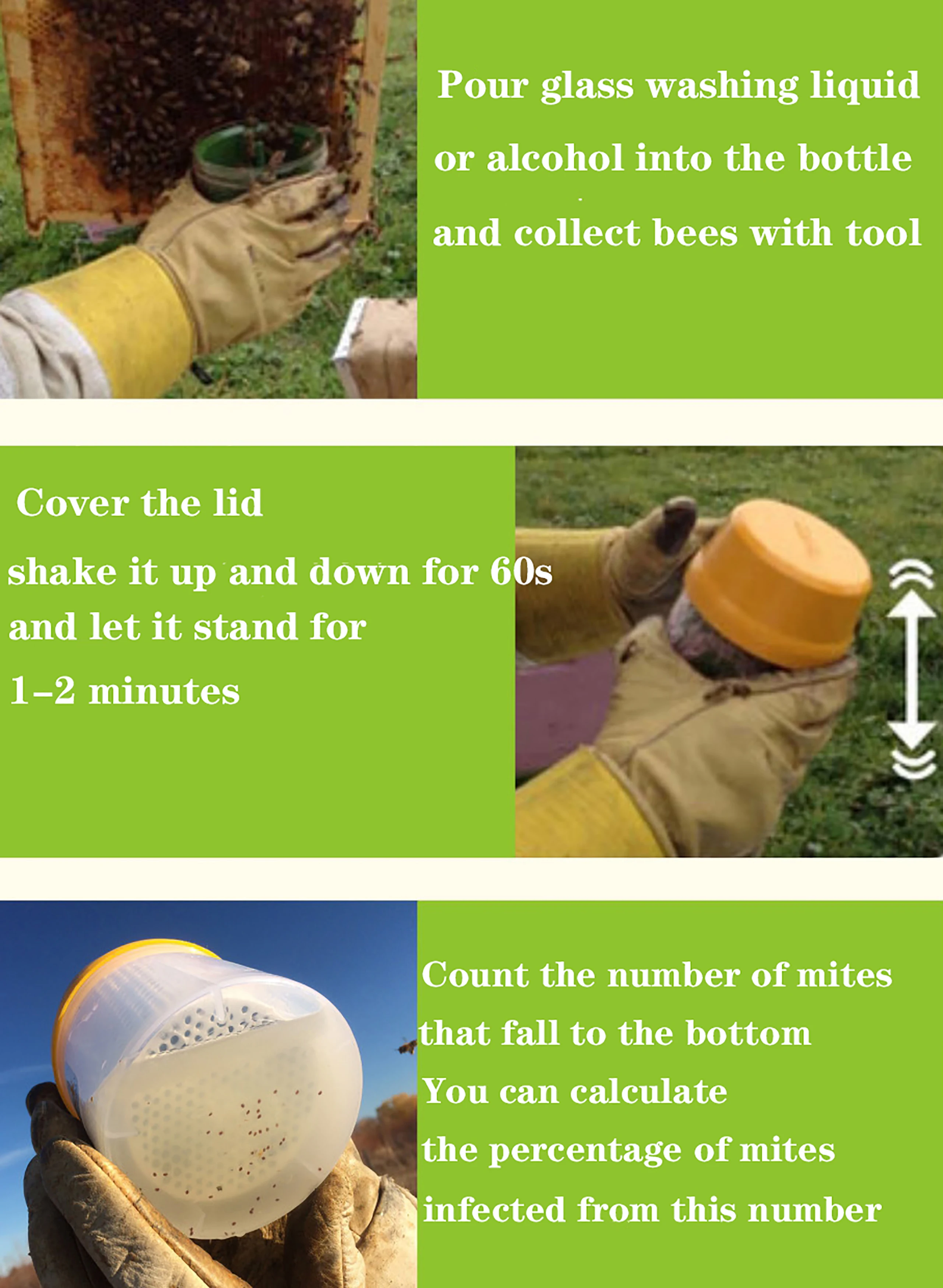Varroa Mite Monitoring Detection Bottle Beekeeping Mite Test Boxs Beekeeper Apiculture Beekeeping Tools Removal Tool beekeeping tools