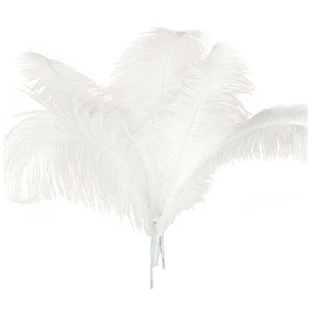 

10 pcs Natural Ostrich Feathers Wedding Party Decoration