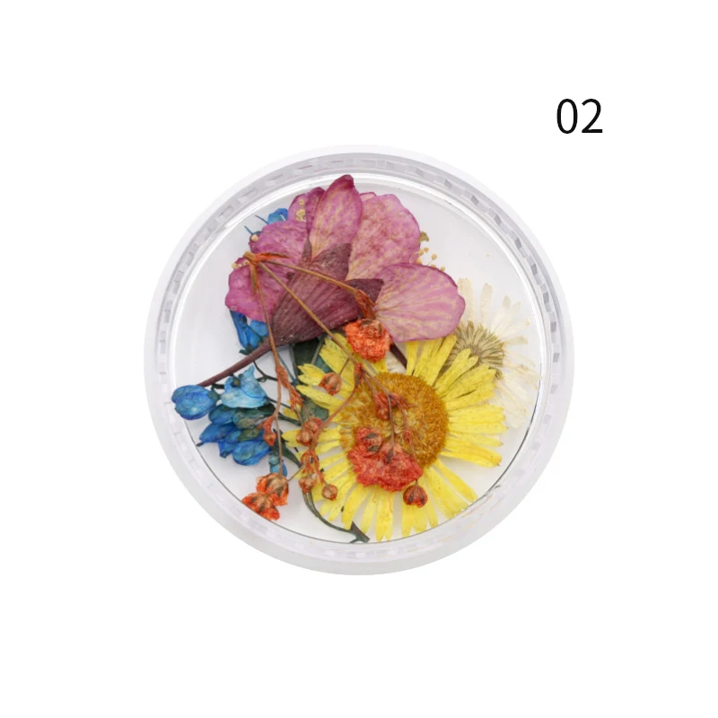 1 коробка 3D натуральный высушенный цветок для ногтей художественные украшения красочные листья смешанные размеры Цветочные ногти DIY красота дизайн украшения Советы - Цвет: 02
