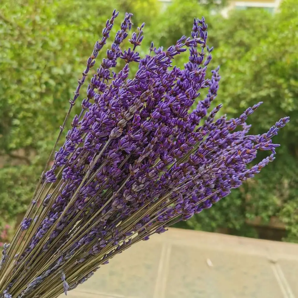 Ramo de lavanda Natural preservada, lavanda eterna Real, flores para boda,  accesorios de decoración del hogar, 40g/20-35cm - AliExpress Hogar y jardín