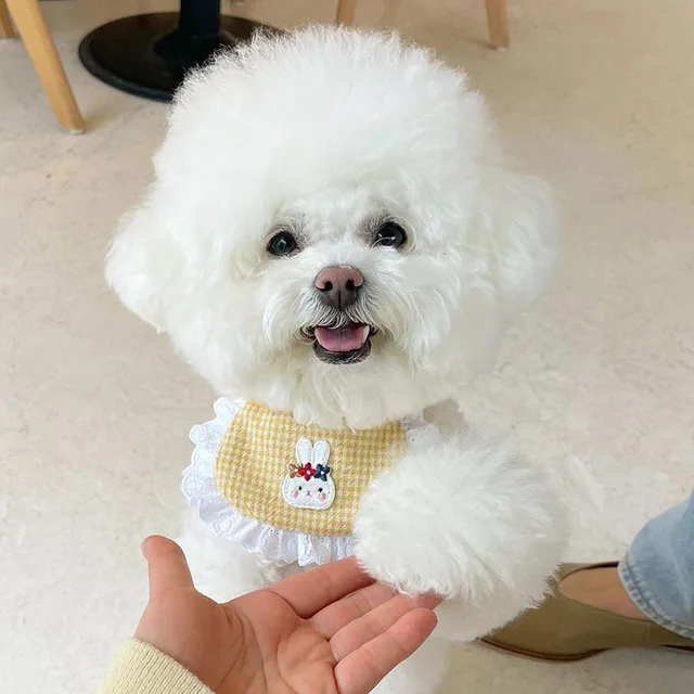 Cute Dog Pet Bib Pet Bunny Saliva Towel Bichon Maltese Bib Dog Designer Dog Collar Dog Accessories for Small Dogs Collar 2
