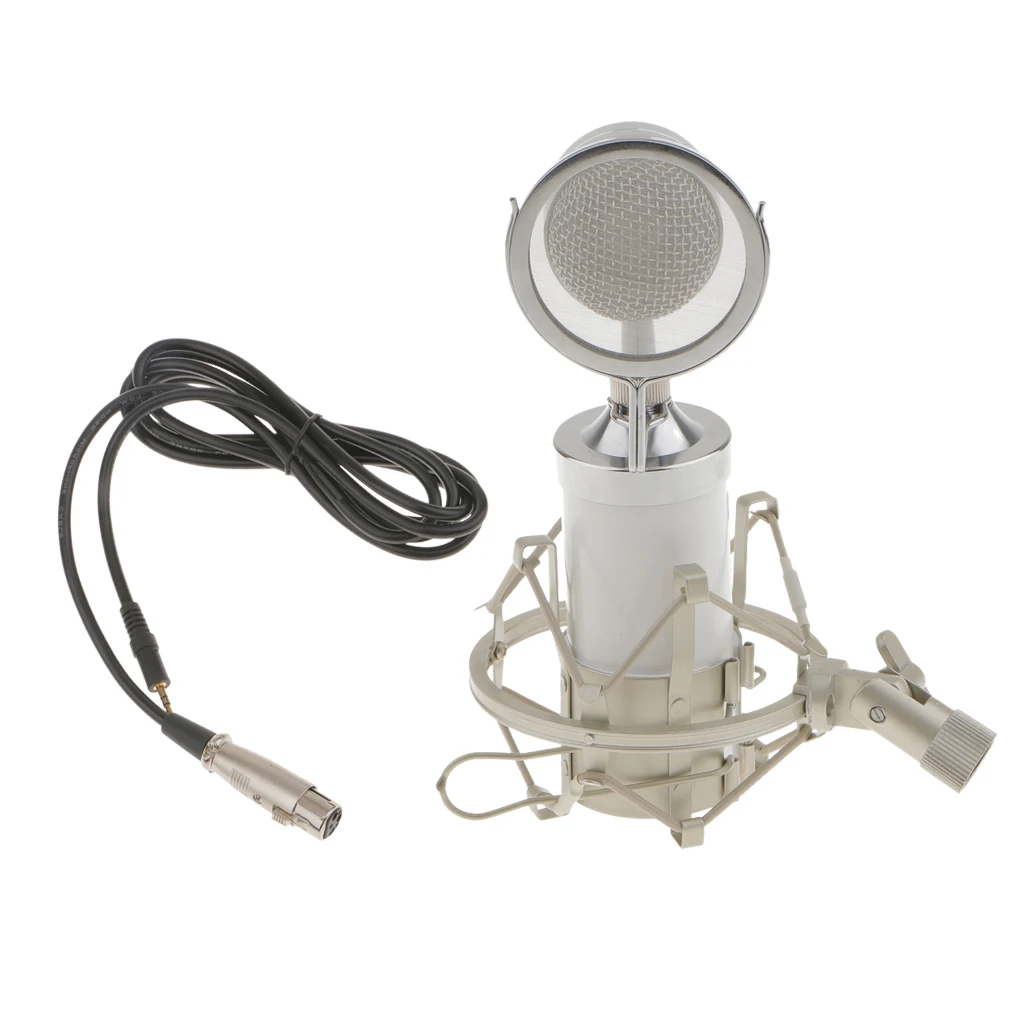 Condenser Studio KTV High Quality Sound Recording Microphone w/ Shock Mount