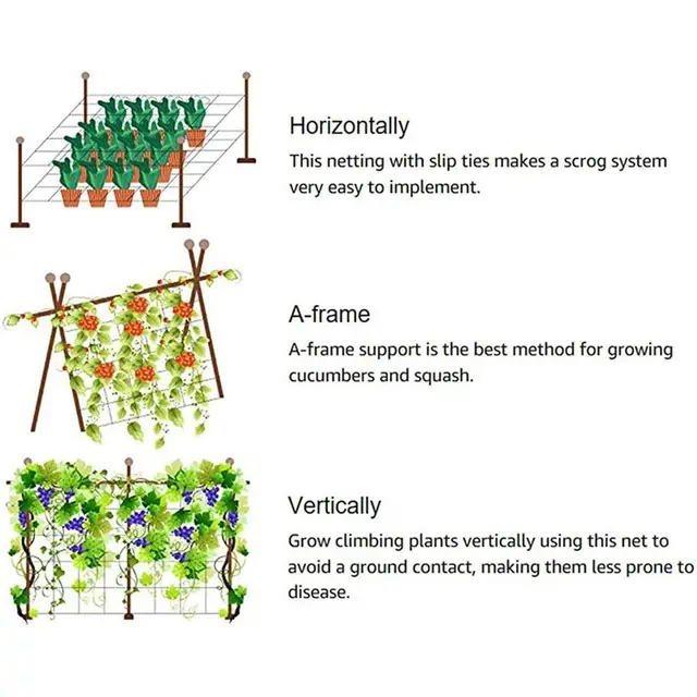 5 M/10M Kerti Növények Mászás Nettó Növényi Rácshálózat Borsóhálózat Háló Rácsháló Bab Gyümölcsökhöz Zöldségek - Image 6