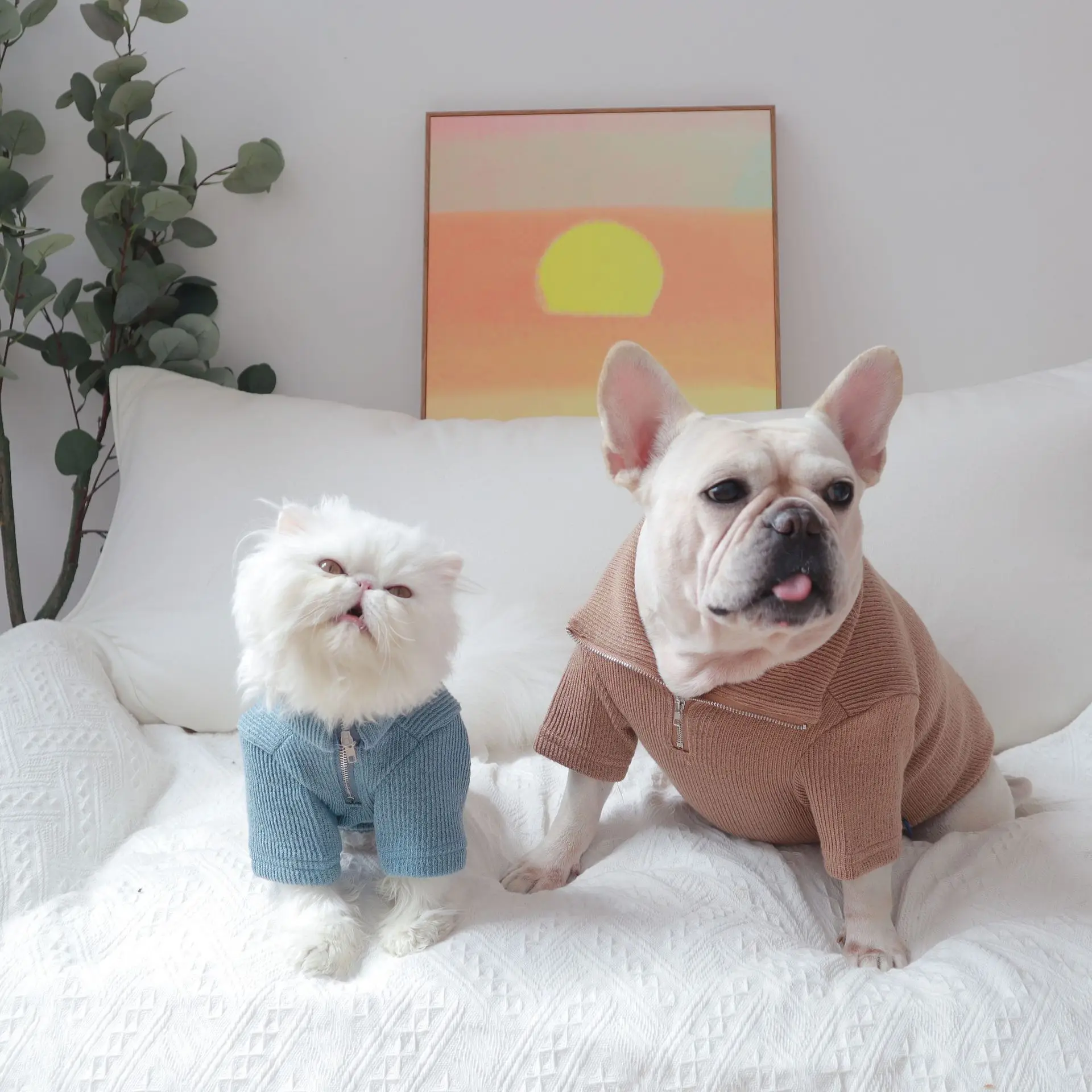 Cão de pé colarinho zíper bottomming camisa