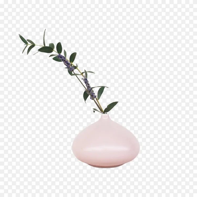 花瓶花盆装饰艺术室内设计服务嫩枝花瓶png图片素材免费下载 图片编号 Png素材网