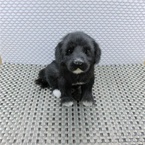 Fancytrader Cute Lifelike Animal Black Dog Plush Toy Realistic Dogs Decoration Gift 2 Models Simulation Newfoundland Dog Toy  (4)