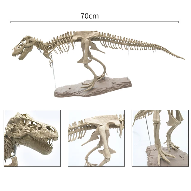 4D Animal Model Toys Simulation Large Dinosaur Fossil Tyrannosaurus Assemble The Skeleton Model Toys Stitching Toys 5