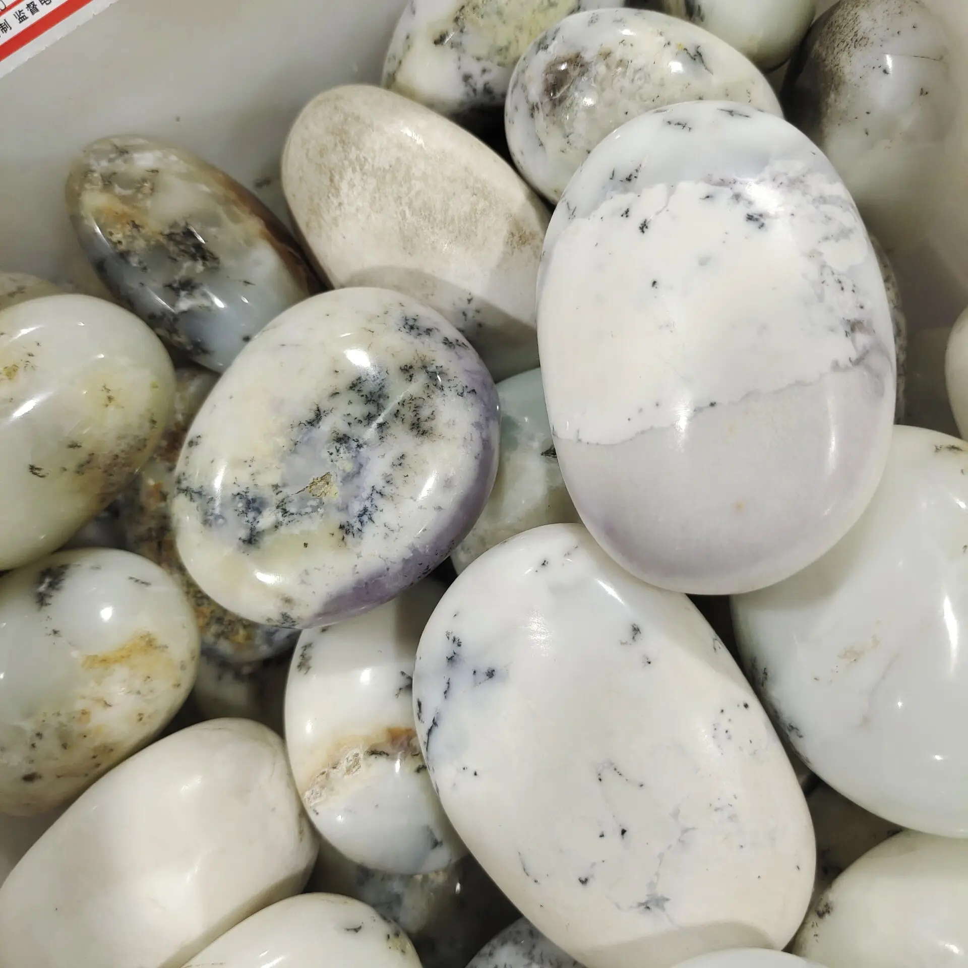 aquatic plants Polished Stone Egg Crystal Healing Reiki Metaphysical Powerful Meditation | Дом и сад