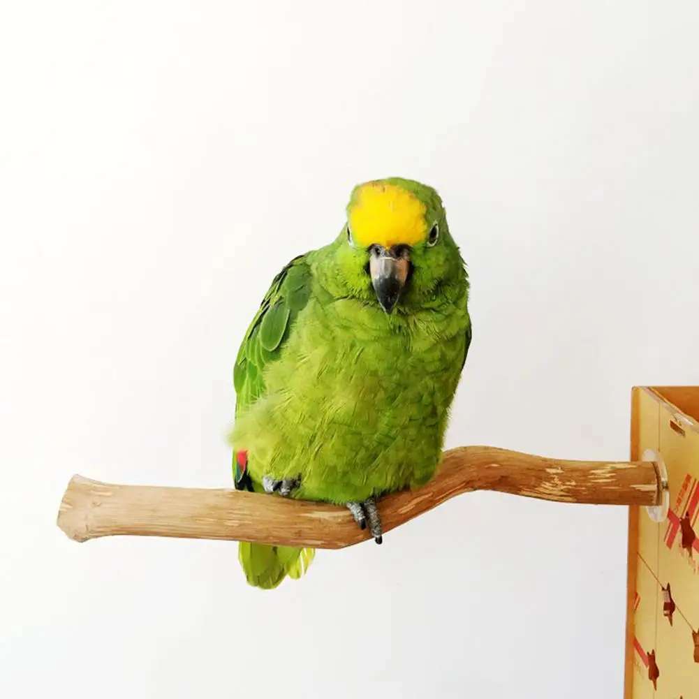 1 шт. жердочка для птицы натуральная деревянная птичья клетка окунь для попугая клетки твердая деревянная стоячая игрушка