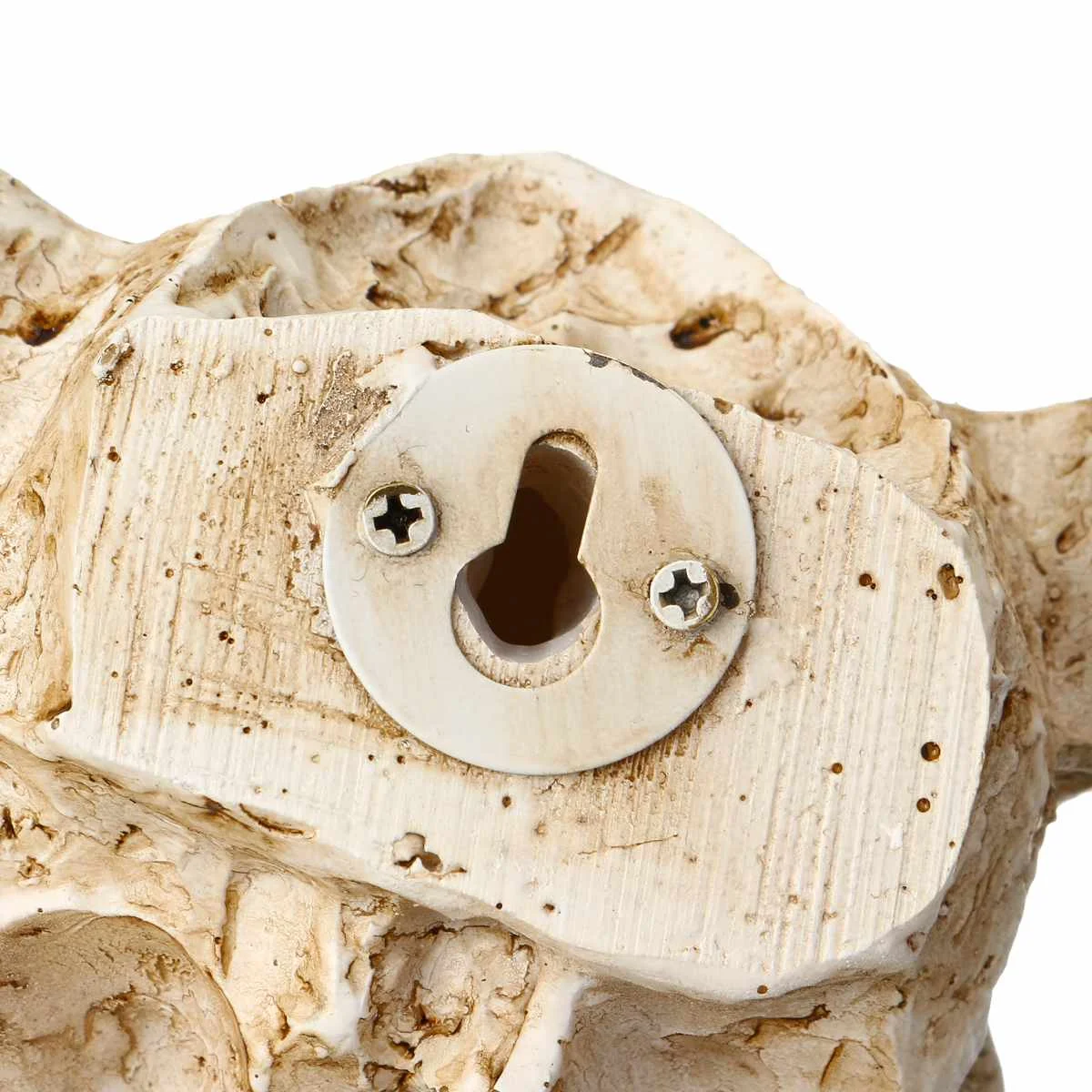 Resin Longhorn Cow Skull Head Wall Hanging decoration 3D Animal Wildlife Sculpture Figurines Crafts Horns for Home Decor Resin Longhorn Cow Skull Head Wall Hanging decoration 3D Animal Wildlife Sculpture Figurines Crafts Horns for Home Decor