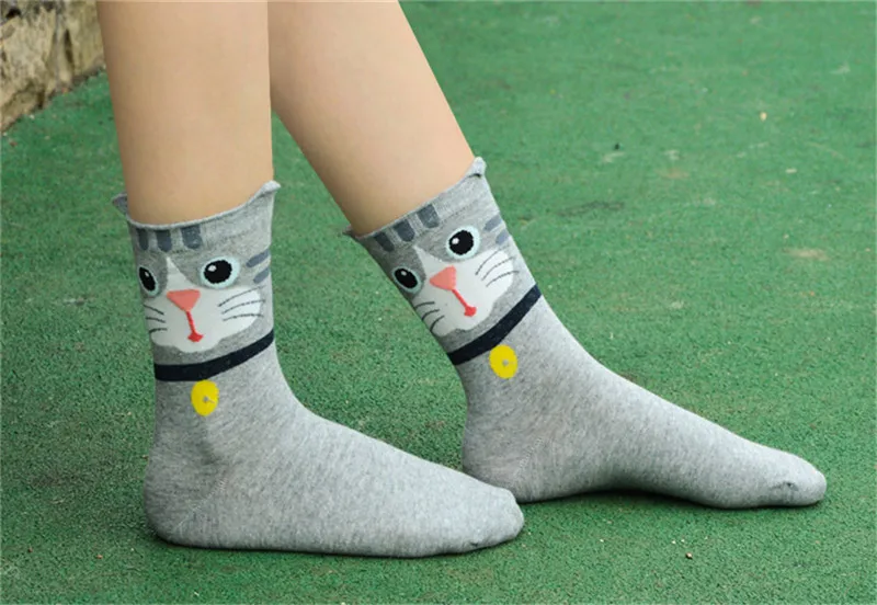 4114661397_520631427