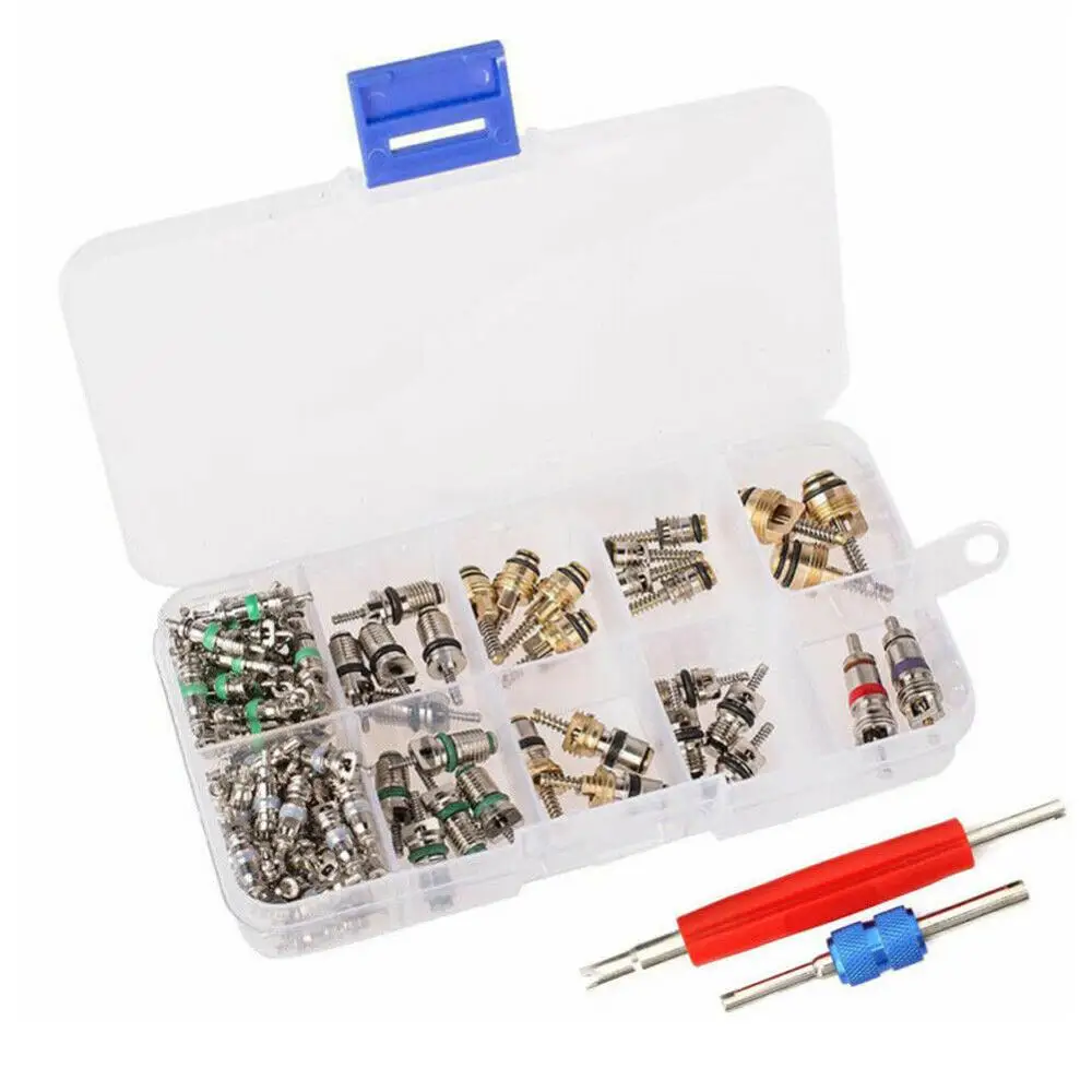 

102Pcs Car A/C Air Conditioning R134a Valve Core Assortment+Remover Tool Kit Set Handy Valve Core Removal Tubeless Core Kit valv