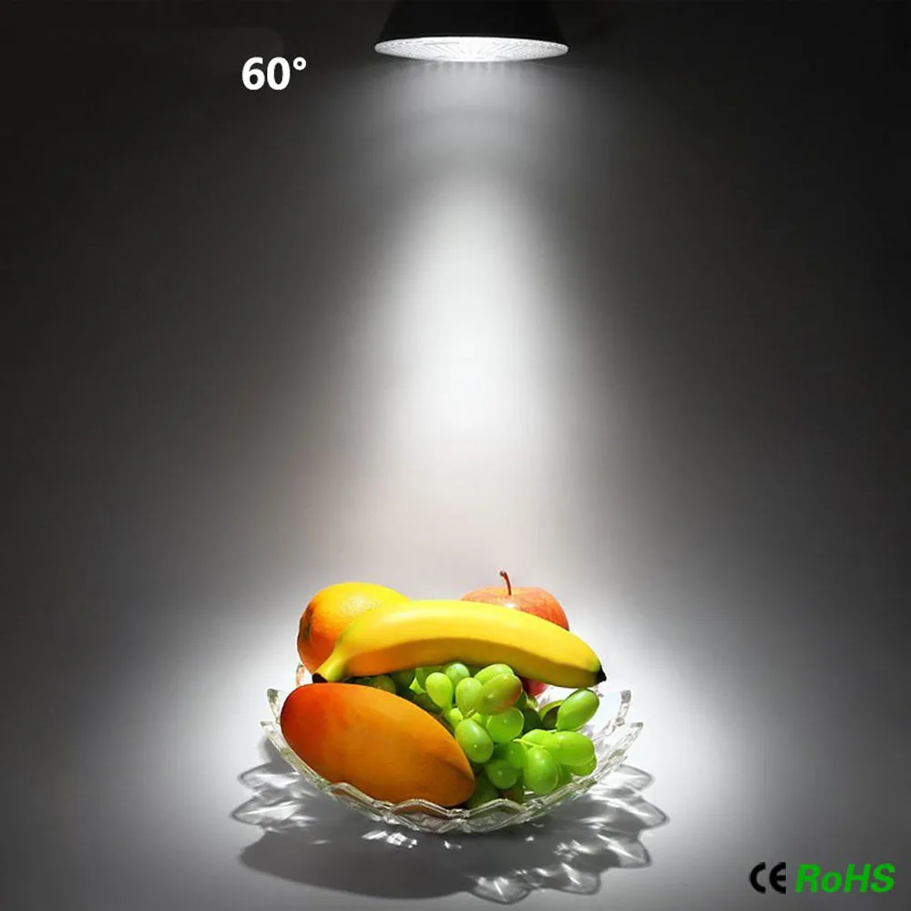 9090834437_1984919730