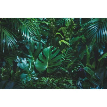 

Summer Tropical Forest Jungle Green Leaves Baby Birthday Backdrop Vinyl Photography Background For Photo Studio Photophone Shoot
