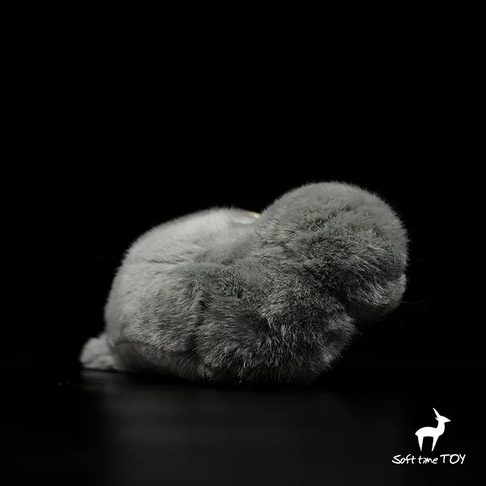 O1CN01oOZBNq1DnZvgoOQxL_!!22080261