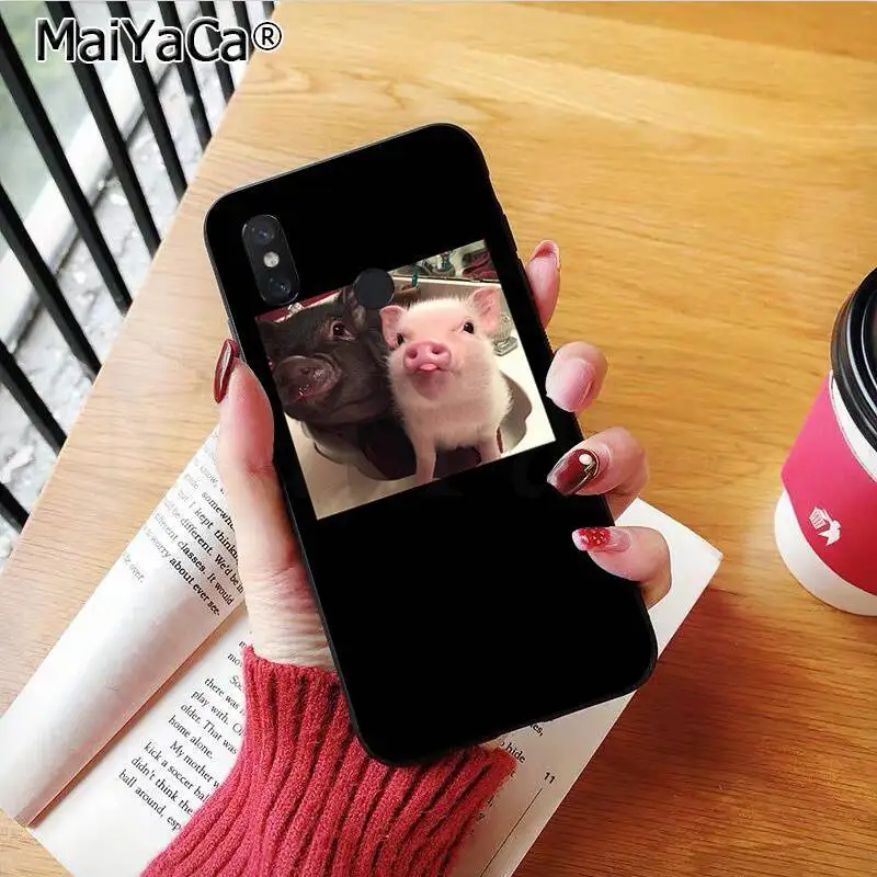 Couples Cartoon Lovely Pink Pet Pig
