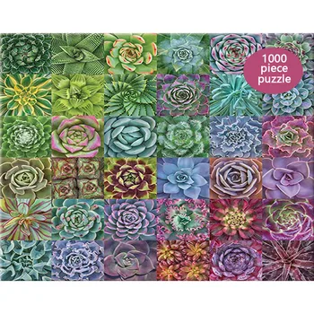 

1000pc Jigsaw Succulent Plant Potted Pattern Picture Adult Child Handmade DIY Puzzle Family Game Special Gift Home Decor