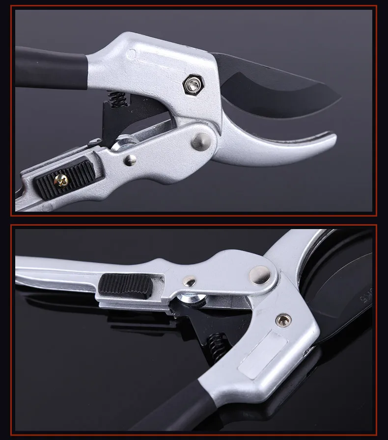 2743075955_2021049823