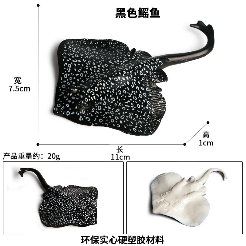 12420371330_1464955482