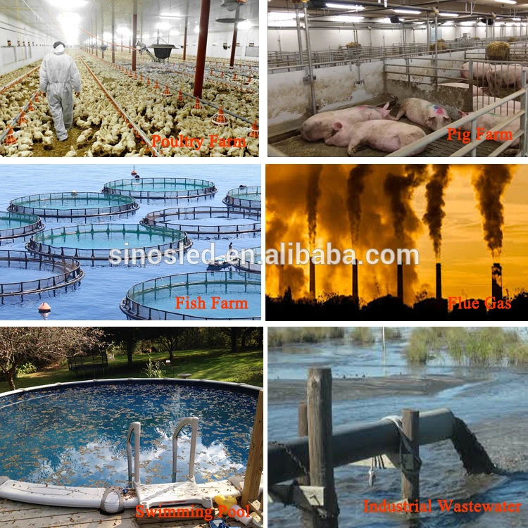 Ultra Violet Underwater Amalgam Electrodeless uv Lamp Bulbs Disinfect Bacteria 800W 2000W 5000W