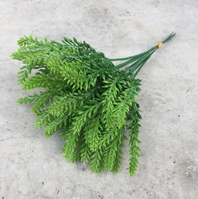 小5叉薰衣草 (2)