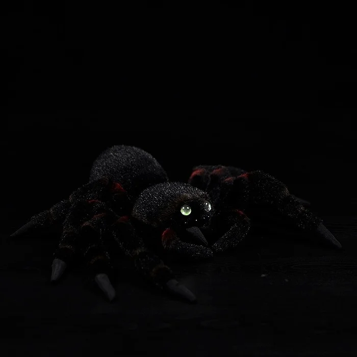 O1CN015UYytL1DnZzTdP3K5_!!0-item_pic