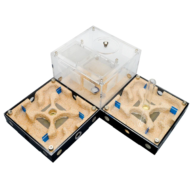 Granja de hormiga de hormigón de alto grado, con torre de agua, expansión ilimitada, hormigero, caja de insectos