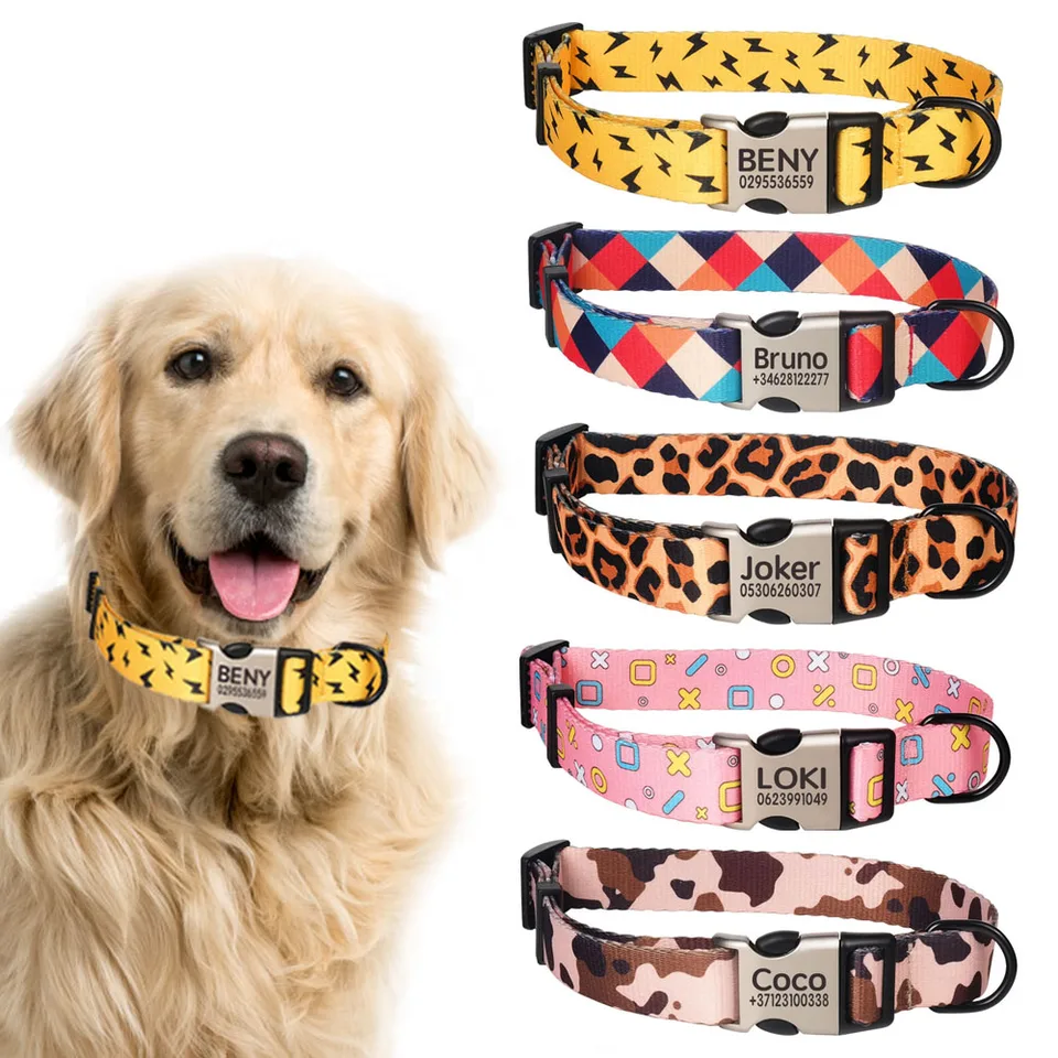 engraved pet collars