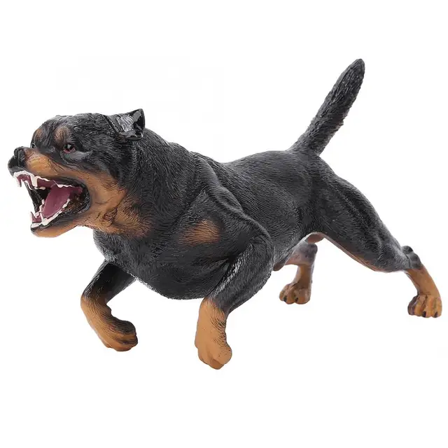 miniature rottweiler for sale