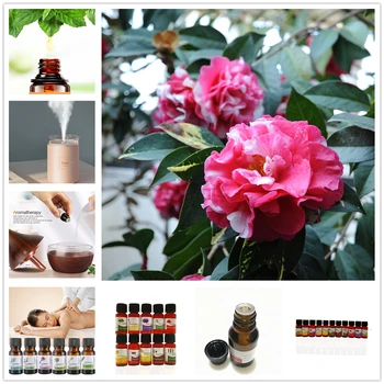 

Hot 10ml Water-soluble Essential Oils Wintersweet Flower Essential Oil for Aromatherapy Diffusers Air Freshening Body Relieve TS