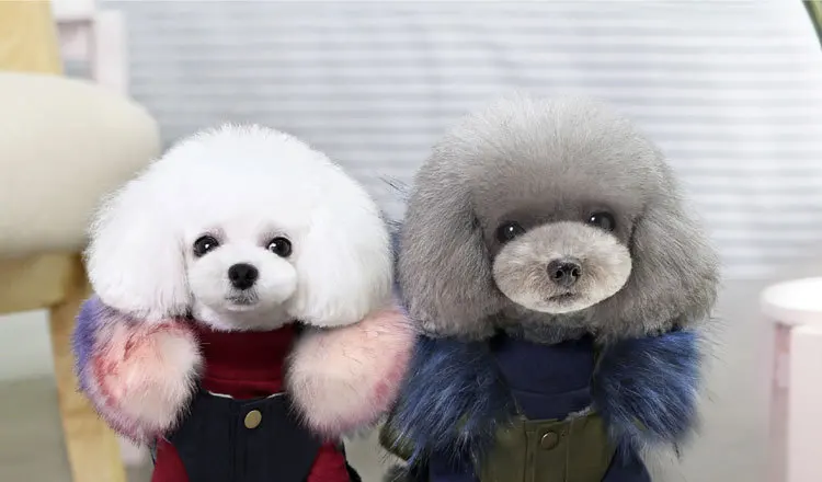Luxury Fur Dog Clothes (1)