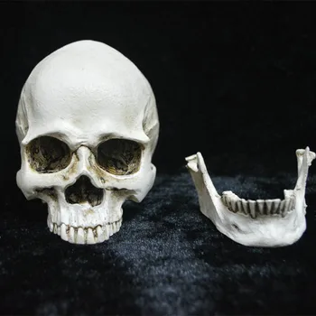 

Halloween DIY Skull Sculpture Crafts Scary Artificial Realistic Head Skull Party Coffee Bar Tabletop Decorations Tricky Props