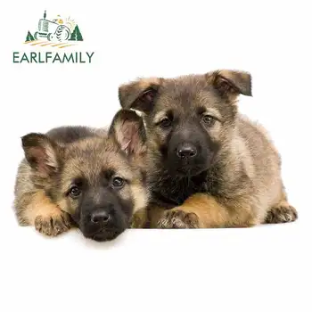 

EARLFAMILY 13cm x 8.1cm for Capsules for Dogs and Cats Motorcycle Car Stickers Bumper Window Waterproof Animals Window Decal