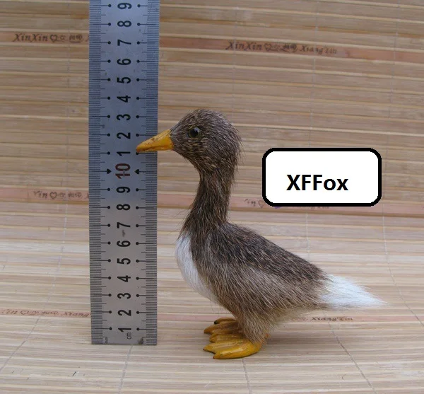 HTB1v4xBKpXXXXb8XXXXq6xXFXXXI