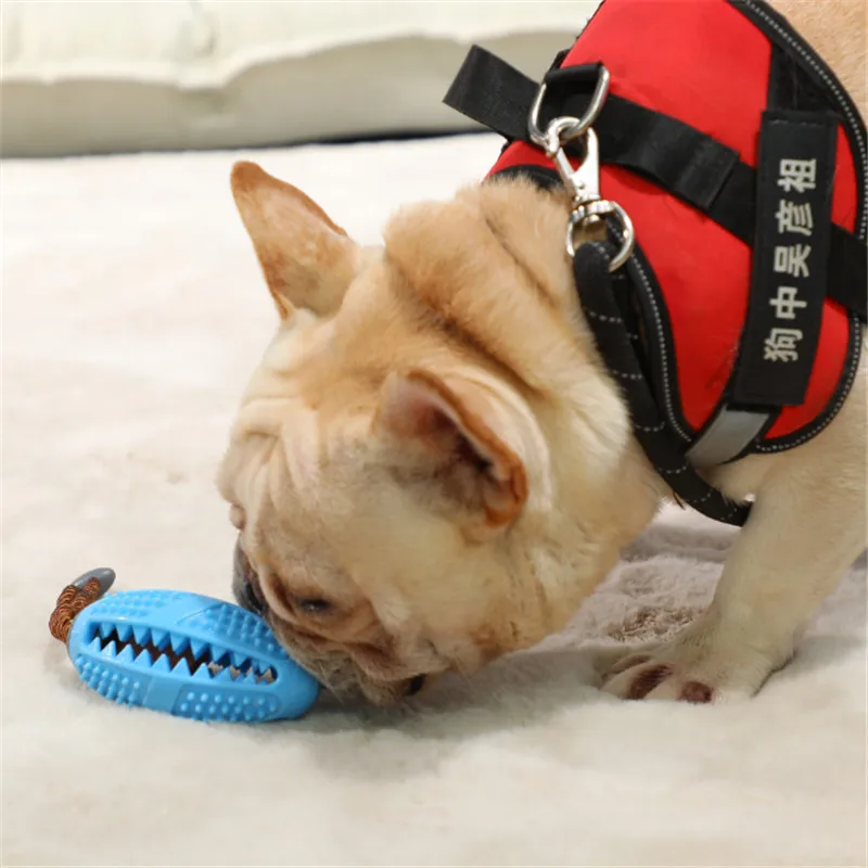 Pet Dog Toys Interactive Natural Rubber Ball Toy Funny Interactive Elasticity Clean Teeth Playing Moral Balls Dogs Chew Toys
