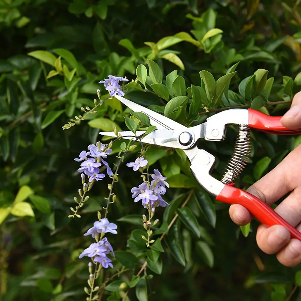 Garden Scissors Pruning Shears Garden Tools Garden Pruner Anti-slip Pruner Micro-Tip Pruning Snips Leaf Trimmer Straight Scissor Plant Tool