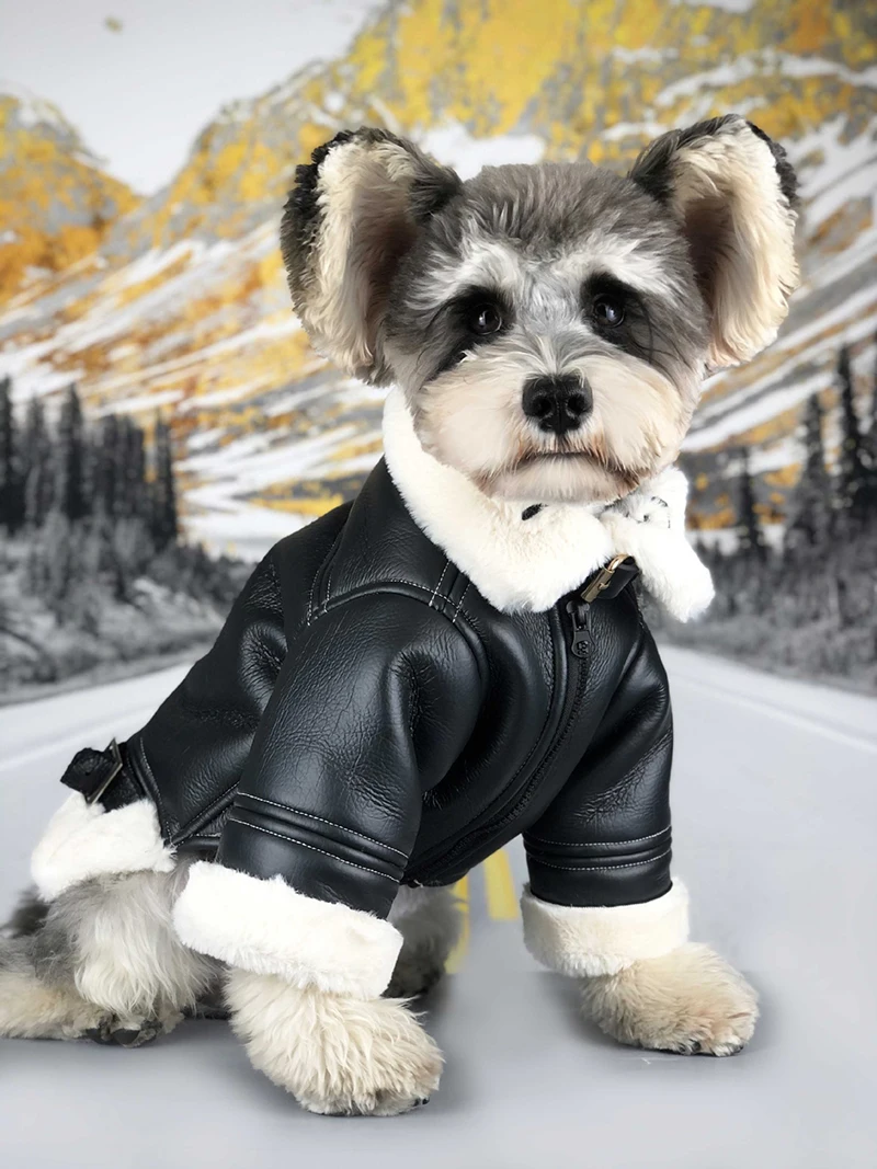 Warm-Winter-Dog-Jacket-for-Small-Dog-Down-Jackets-Leather-Jacket-Coat-Fur-Collar-Puppy-Fleece (2)