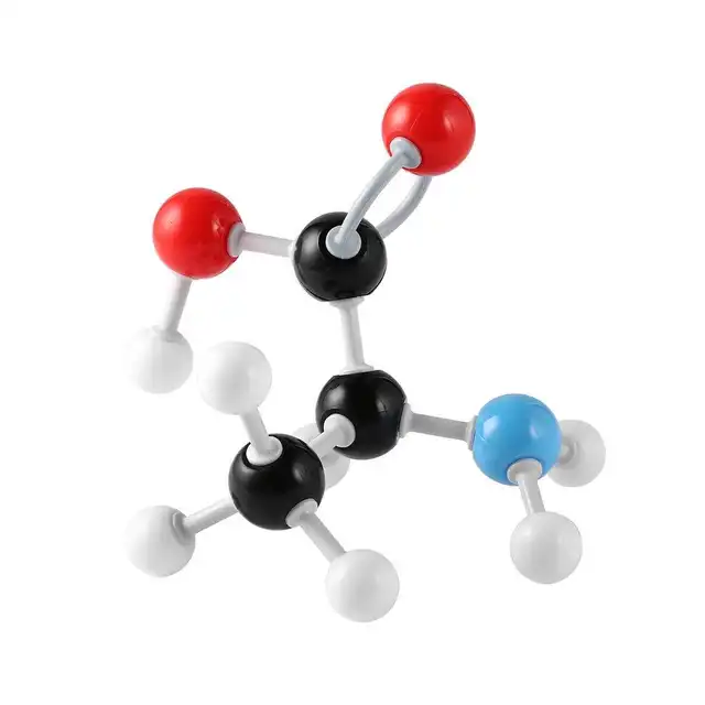 best molecular model kit