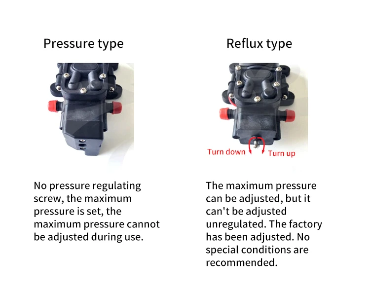 12V 24V 60W 5L / Min Miniature High Pressure Diaphragm Pump With Automatic Switch Reflux Type Multi-function DC Pump