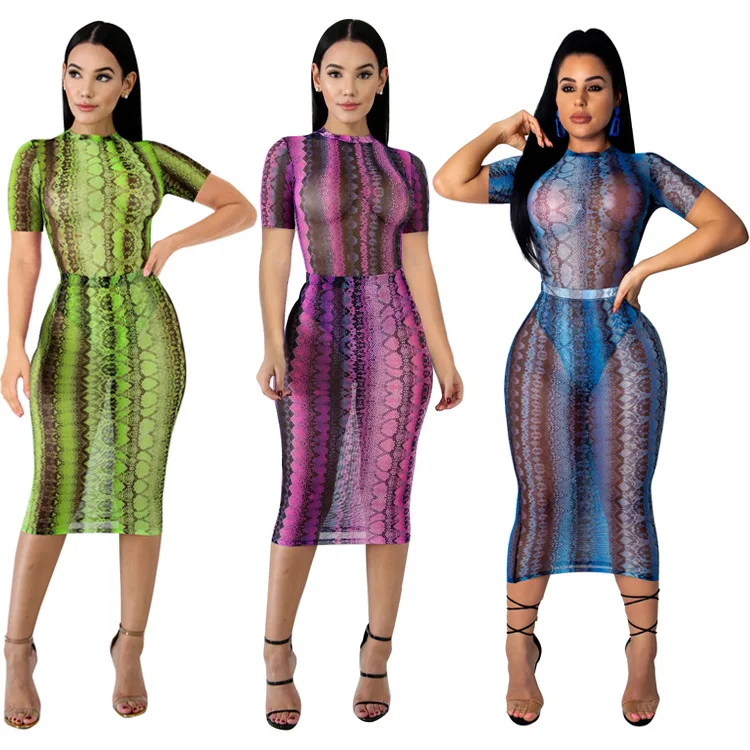 

Snake Print 2 Piece Set Women See Through Tracksuit Sexy Two Piece Outfits Evening Party Club Outfits Matching Sets Plus Size