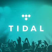 2 месяца гарантии на 1 год Tidal HIFI Премиум подписка работа на ПК смарт-ТВ приставки Android IOS планшеты ПК