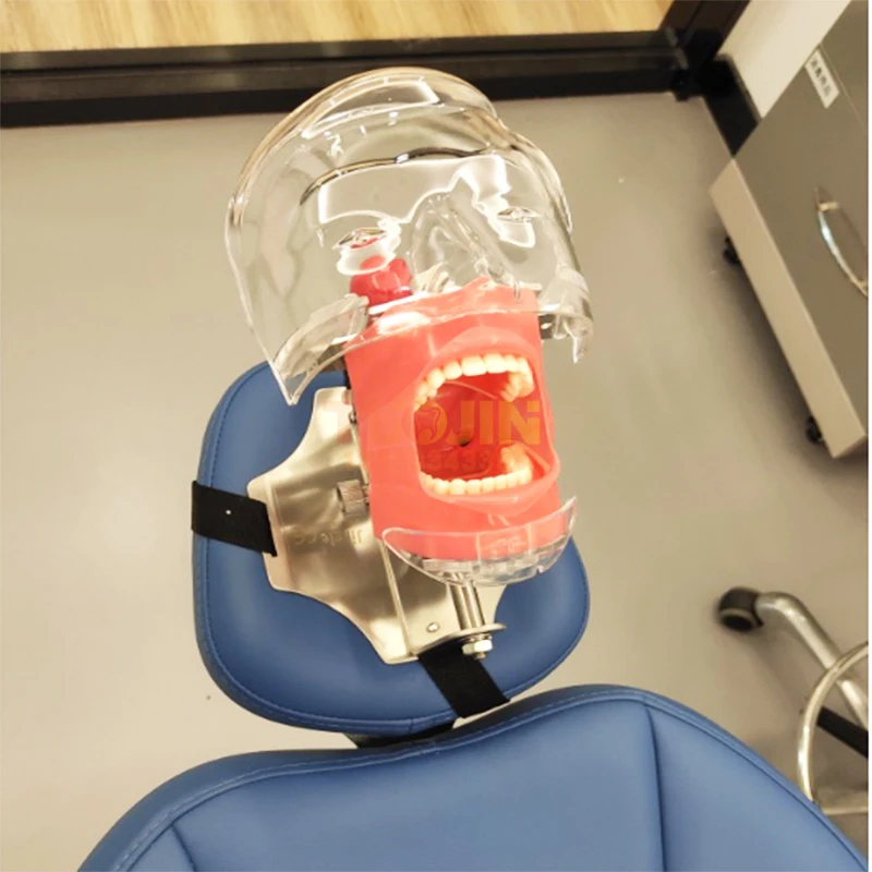 Head Model Dental Simulator The Head Model Can Be Installed On The Pillow Of The Dental Chair It Is Used For Dentist Teaching