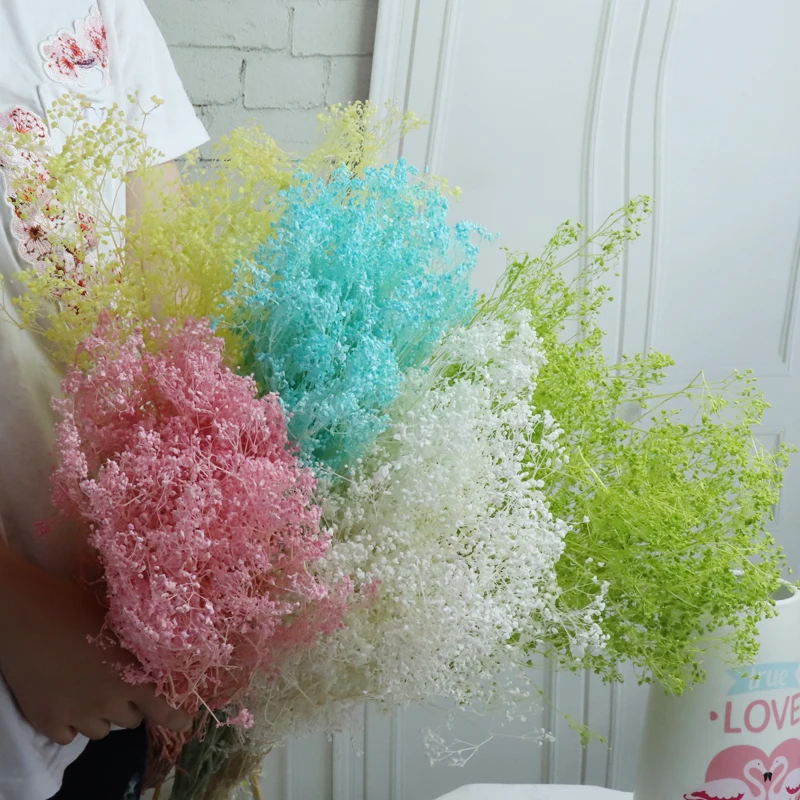 

Fleur Sechee Naturelle Preserved Million Babybreath Bouquet,Dried Natural Flowers Gypsophila Flower,Mini Babys Breath,Home Decor